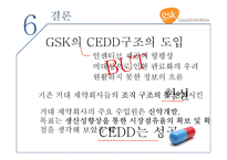 GSK기업 사례분석 보고서-13