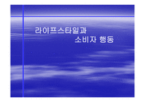 라이프스타일과 소비자 행동_456-1