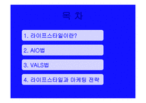 라이프스타일과 소비자 행동_456-2