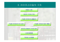 라이프스타일과 소비자 행동_456-6