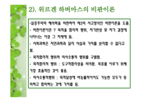 행정의 비판이론과 카오스 이론적 접근-11