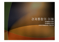 지역주의와 경제통합-3