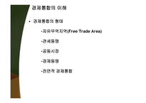 지역주의와 경제통합-4