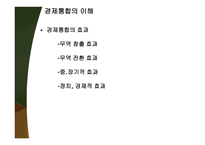 지역주의와 경제통합-5
