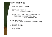 지역주의와 경제통합-13
