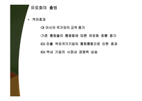 지역주의와 경제통합-19