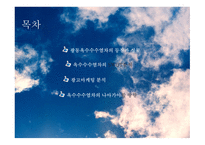 유통 상품학‘광동 옥수수수염차’-2