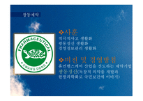 유통 상품학‘광동 옥수수수염차’-4