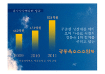 유통 상품학‘광동 옥수수수염차’-8