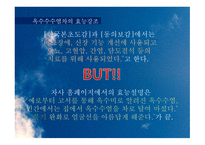 유통 상품학‘광동 옥수수수염차’-19