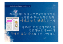유통 상품학‘광동 옥수수수염차’-20