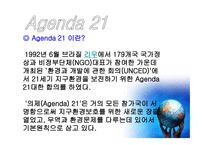 Agenda 레포트-3