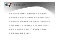 SIS특종 상해 손해사정 기업소개-3
