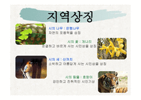 관광자원론 호반의 도시 춘천-6