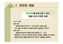 빈곤 연구보고서-3