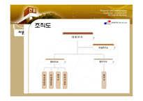 대구지역 중소기업의 국제경영전략 수립 사례분석 신풍섬유-5