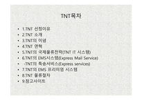 TNT 물류관리론 레포트-2