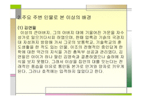 이상작품에 투영된 개인사 연구가족과 여성 중심-11