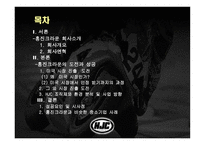 주홍진 크라운 헬멧 제품경영분석사례 리포트-2
