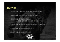주홍진 크라운 헬멧 제품경영분석사례 리포트-4