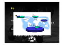 주홍진 크라운 헬멧 제품경영분석사례 리포트-12
