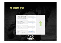 주홍진 크라운 헬멧 제품경영분석사례 리포트-16