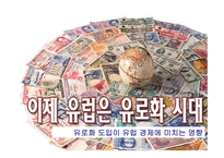유로화 도입이 유럽 경제에 미치는 영향-1