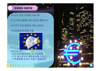 유로화 도입이 유럽 경제에 미치는 영향-4