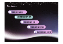 유로화 도입이 유럽 경제에 미치는 영향-5