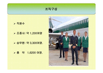 알리탈리아항공 ALITALIA LINEEAEREEITALIANE분석 보고서-3