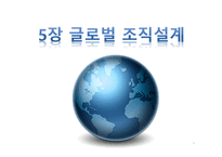 5장 글로벌 조직설계-1