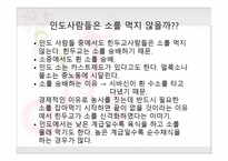 인도 소개 인도 관광 이유-11