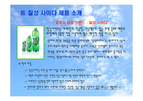 마케팅 기획서 칠성사이다-7