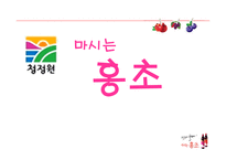 마시는 홍초 레포트-1