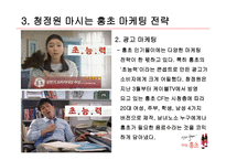 마시는 홍초 레포트-6