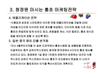 마시는 홍초 레포트-8