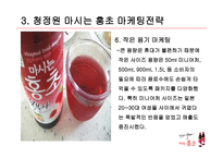 마시는 홍초 레포트-9
