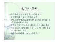 CISA CommunityIntegration Skills Assessment지역사회적응검사-3