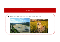 교육행정과 교육경영-6