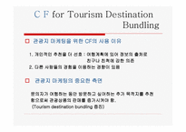 Collaborative Filtering Strategies for Travel Destination Bundling-4