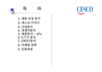 CESCO의 성공사례-2