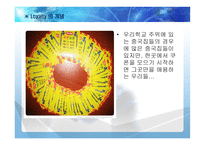 Loyalty Program 사례연구-6