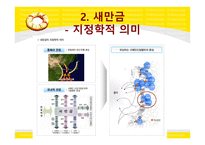 우리나라 동북아 시대를 열다-13