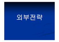 삼성전자기업경영분석사례-13