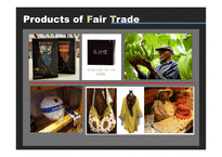 공정무역 FairTrade-12