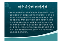 매춘관광이란 무엇인가-17