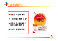 CJ햇반 소개 레포트-2