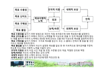 조직행동 팀별 과제에 대하여-13