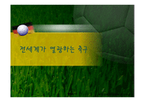 전 세계가 열광하는 축구-1