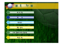 전 세계가 열광하는 축구-2